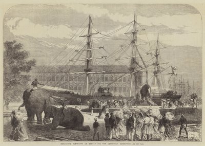 Imbarco degli elefanti a Bombay per la spedizione in Abissinia da Sir John Charles Robinson